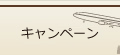 キャンペーン