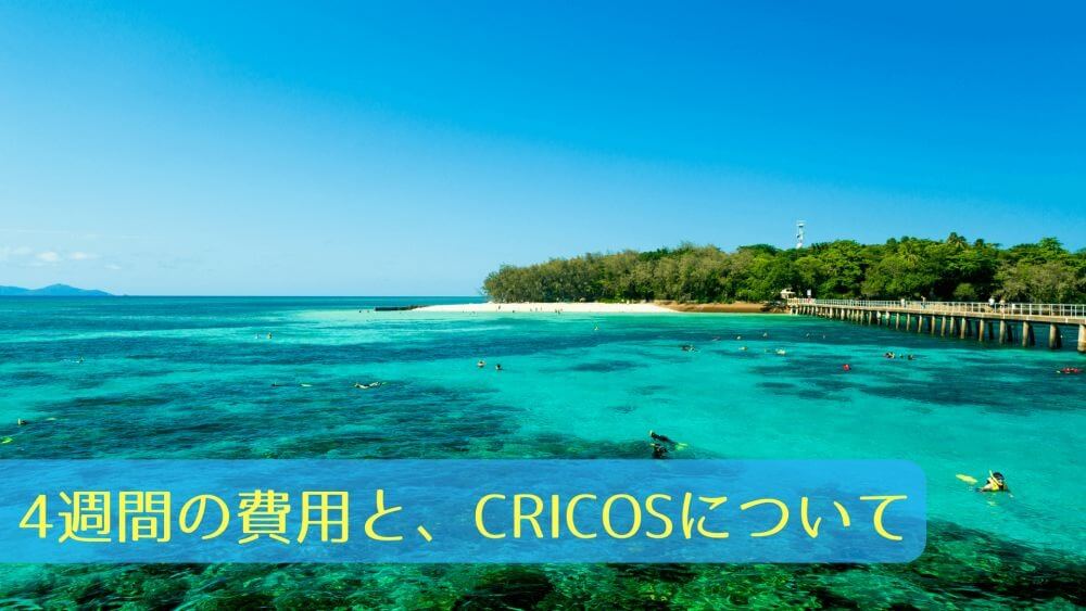 4週間の費用とCRICOSについて