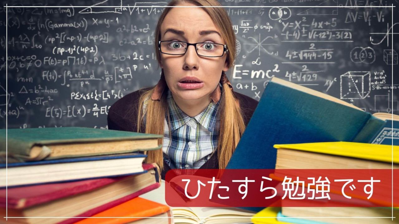 ひたすら勉強です